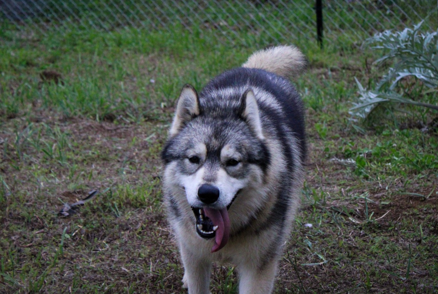 Voldemort reborn Des Etoiles Des Glaciers
